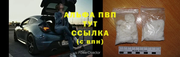 дживик Переславль-Залесский