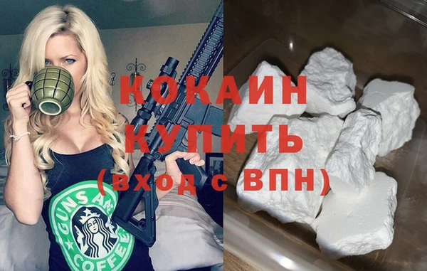 Альфа ПВП Пересвет
