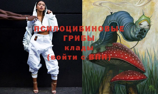 Альфа ПВП Пересвет